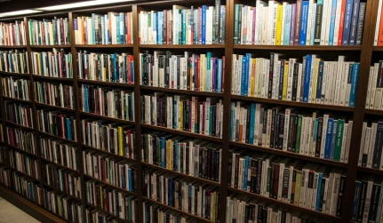 Custom Basement Bookshelves & Built Ins