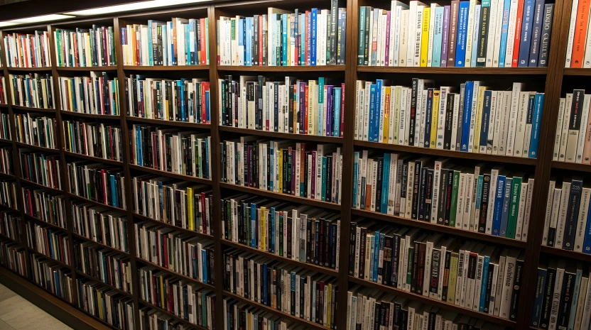 Custom Basement Bookshelves & Built Ins